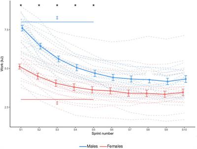 Males and females have similar neuromuscular coordination strategies of the quadriceps during fatiguing repeated all-out cycling